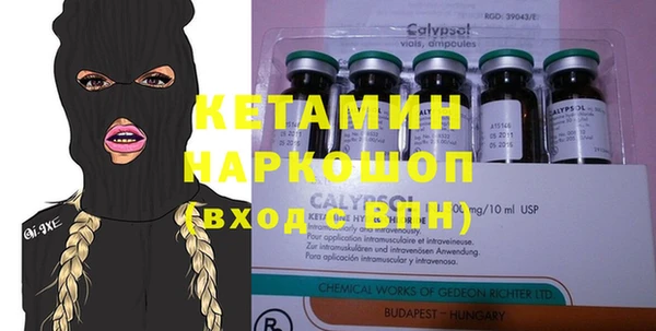 стаф Гусев