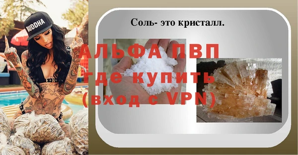 стаф Гусев