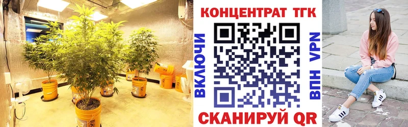 ТГК концентрат  Купить  Новоалтайск 
